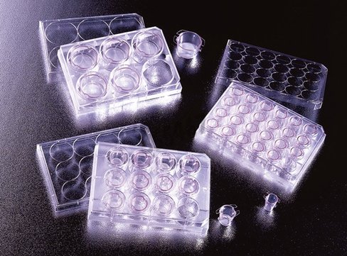 Plaque deep well 6 puits 23,4 mm /1 Falcon x 4