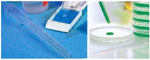 Pipette de transfert à biopsie 125 mm x 500