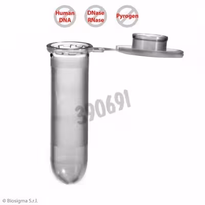 Microtube CLEARLINE PP 2 ml rnase free 2 x 500