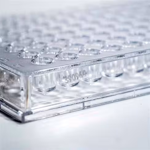 Microplaque 96 puits fond v x 50