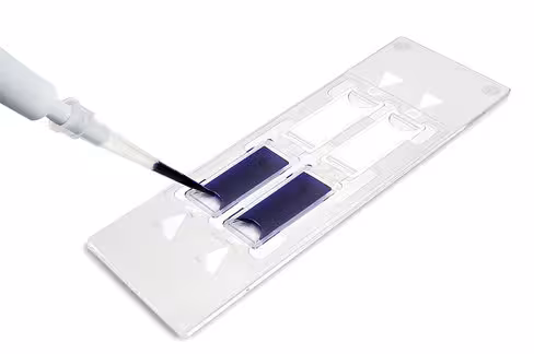 Cellule de comptage neubauer c-chip avec 4 chambres x 50