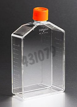 Flacon de culture PS 250 ml 175 cm² rectang col incliné av bouchon plug seal orange gradué traité TC stérile x 50