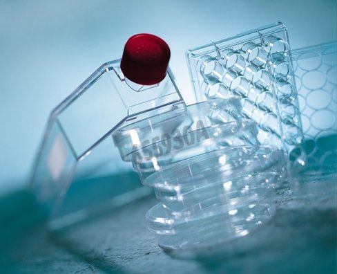 Plaque de culture 96 puits cellcoat poly-l-lysine GREINER BIO-ONE x 5