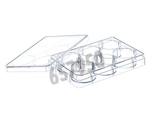 Plaque culture 6 puits collagene i GREINER BIO-ONE x 50