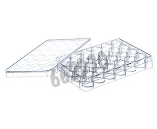 Plaque de culture 24 puits PS cell repellent avec couvercle x 5