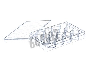 Plaque culture suspension 12 puits 1 GREINER BIO-ONE x 100
