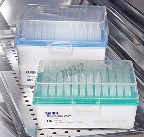 Base terrarack courte