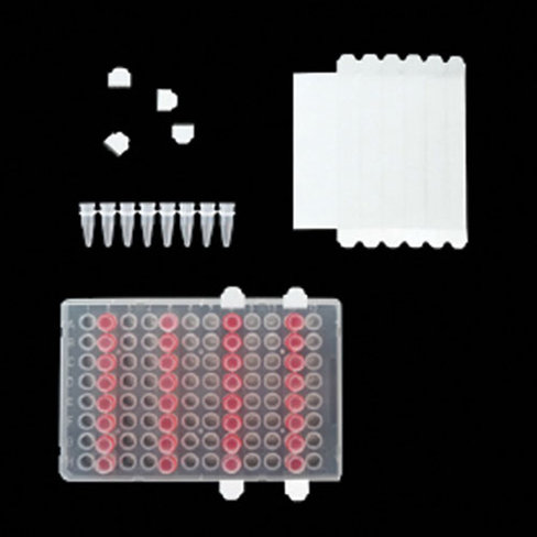 Film ezcap pcr filmstrips x 400