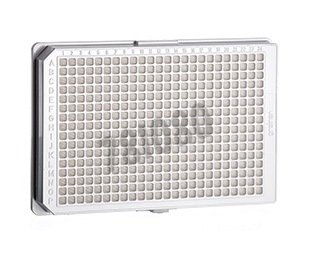 Plaque culture 384 puits blanche stérile x 32