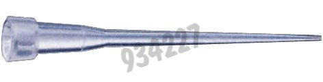 Pointe eptips g biopur 0,1-20 µl stérile /1EPPENDORF x 100