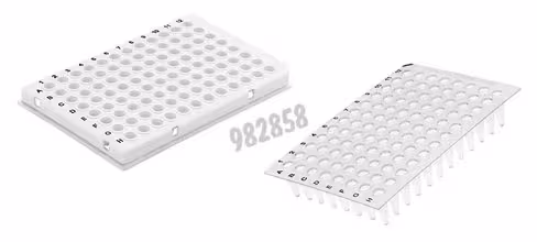 Plaque 96 puits naturel profil bas à jupe x 5 x 10