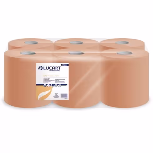 Essuie-main en bobine chamois - Premio - 2 plis - 450 formats - 1 carton de 6 pièces