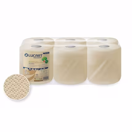 Essuie-mains en bobine - Econatural - 2 plis - 450 formats - havane - 1 carton de 6 pièces