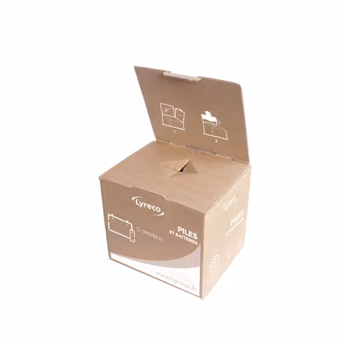 Carton de récupération pour piles usagées