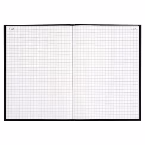 Registre Le Dauphin - 21 x 29,7 cm - 200 pages - quadrillé 5 x 5
