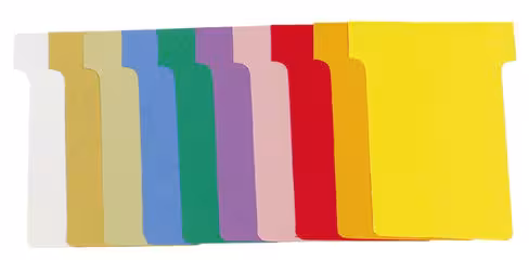 Fiche en T pour planning Exacompta - indice 1,5/45 mm - lot de 10 étuis refermables de 100 fiches
