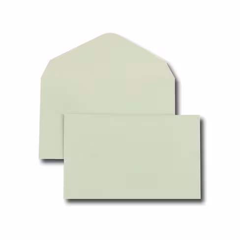 Enveloppe élection GPV recyclées - 90 x 140 mm - 80g/m2 - vert - boîte de 1000