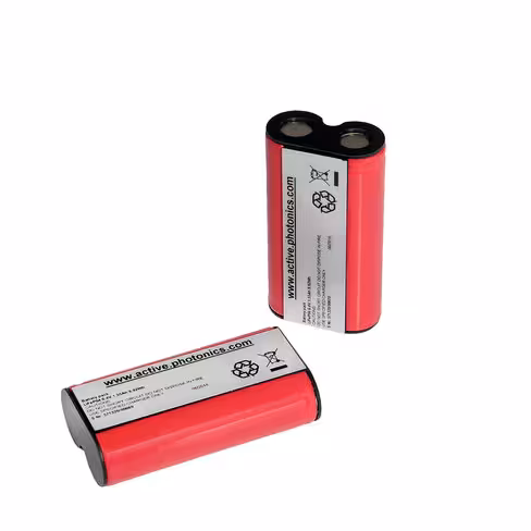 Pack 2 batteries Leader TIC