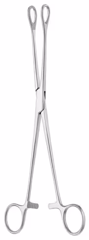Pince à eponges Foerster droite 18 cm