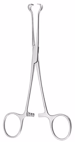 Pince à saisir intestins et tissus Babcock 16 cm