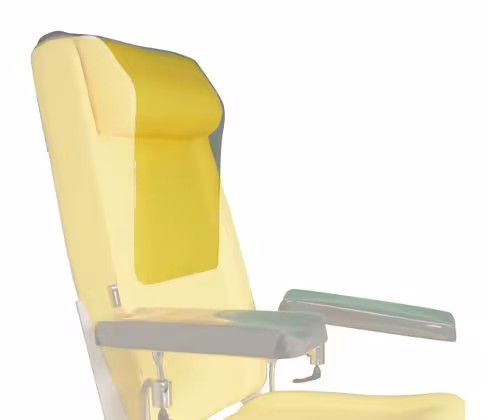 Protection pour la tête