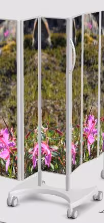 Chariot 4 roues 2 pans photo 6501P