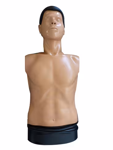 Mannequin Ambu Man B tronc - sans dispositif de contrôle des performances