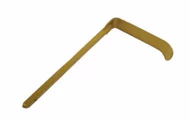 Bookwalter Valve radio transparente en titane finition dorée 51 x 203mm