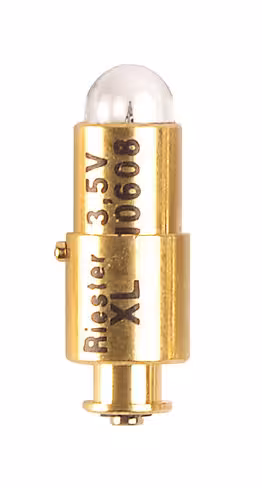 Ampoule de rechange XL 2,5V pour ri-scope® / elitevue® paquet de 6 lampes