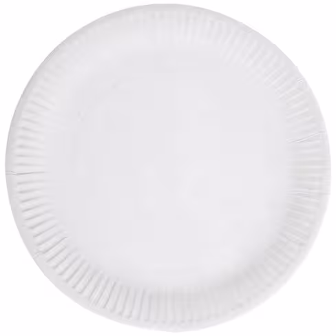 Assiette blanche en carton - Ø 23 cm - lot de 5 sachets de 100
