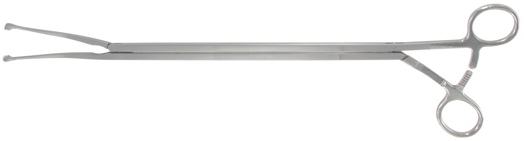 Pince allis vats mors courbes - l:340mm d:10mm 8.2mm