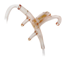 CANULE THERMISENSE-PRES, NASALE/ORALE+ÉCHANTILLONNAGE DE GAZ ADULTE-25/PK