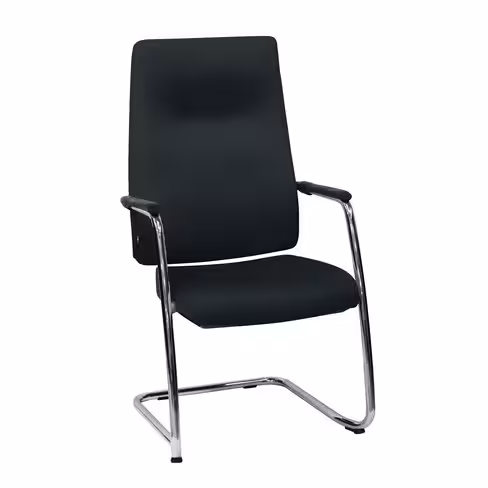 Fauteuil visiteur Edgar - cuir