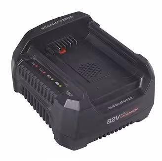 Chargeur 220 V pour batterie B215-Li