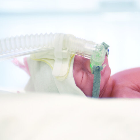 Générateurs circuits LP, boîte de 20