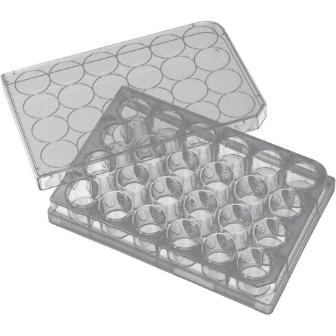 Plateau de culture cellulaire 6 puits x 50