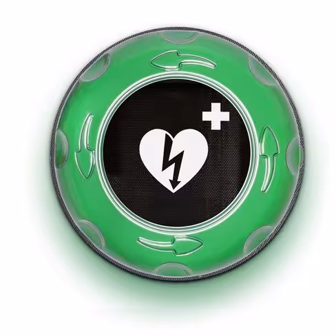 Boîtier mural Vert Rotaid Solid Plus Heat, avec alarme, éclairage, chauffage [distribué par Stryker]