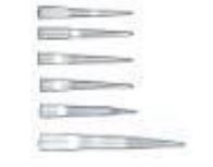 Pointe à filtre 0,5-10 µl rack stérile x 960