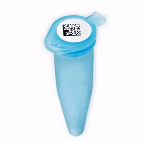 Etiquette freezer bond ii 9,53 mm - rouleau de 3000