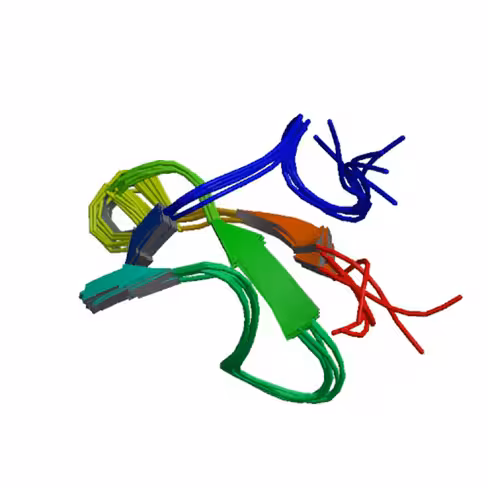 Collagenase type II sup à125 U/mg solid 1 g