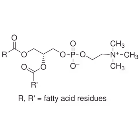 Lecithin 1 lb