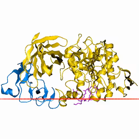 Pancreatin USP 500 g