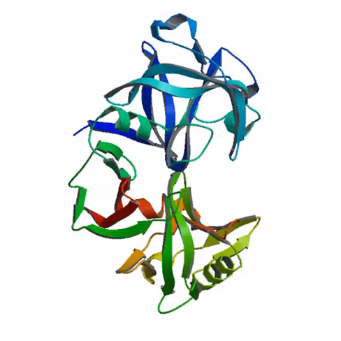 Pepsin 1:10,000 1 kg