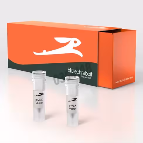 Rts pivex his-tag 2nd gen. vector set 2 vecteurs 1 pcs