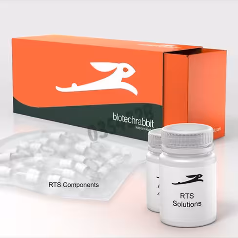 Rts 500 e. coli disulfide kit 5 réactions de 1 ml