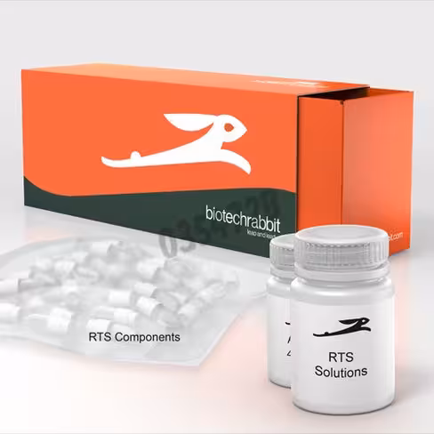 Rts 9000 e. coli hy kit 1 reaction de 10ml