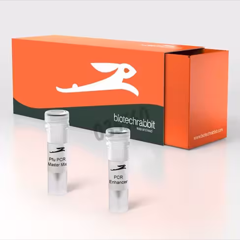Pfu pcr master mix 2X - 100 réactions de 50 µl