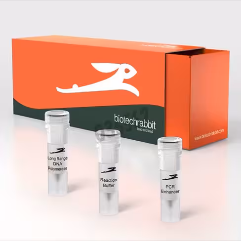 Long range dna polymerase 2,5u/µl 100 unités