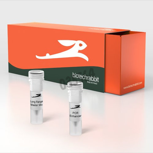 Long range pcr master mix 2X - 100 réactions de 50