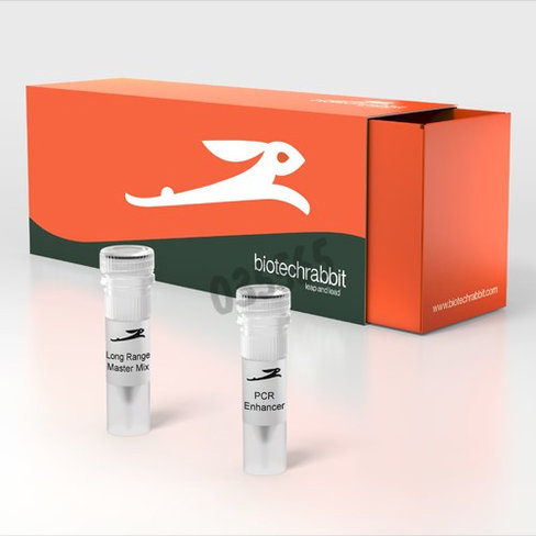 Long range pcr master mix 2X - 500 réactions de 50
